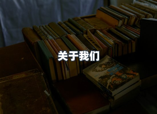 关于我们